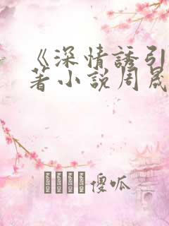 《深情诱引》原著小说周晟安结局