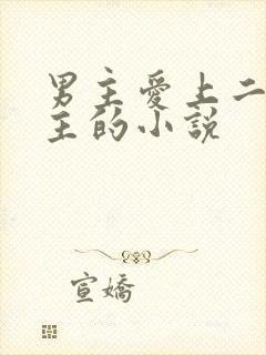 男主爱上二婚女主的小说