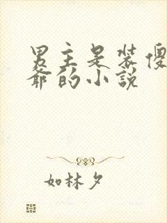 男主是装傻的王爷的小说