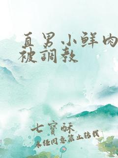 直男小鲜肉小陈被调教