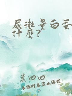 尿微量白蛋白是什么?