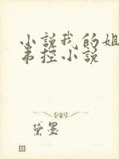 小说我的姐姐很弟控小说