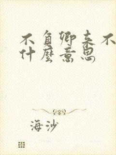 不负卿来不负我什么意思