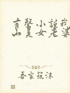 有声小说我的冰山美女老婆