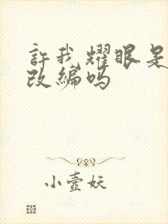 许我耀眼是小说改编吗