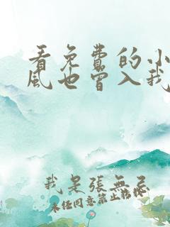 看免费的小说南风也曾入我怀