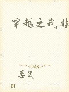 穿越之我非侬妻