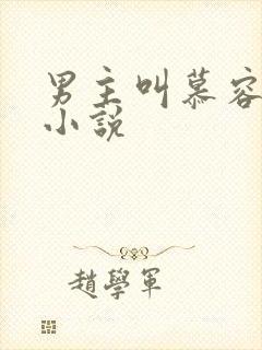 男主叫慕容瑾的小说