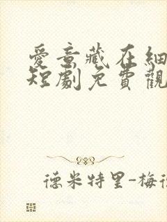 爱意藏在细节里短剧免费观看