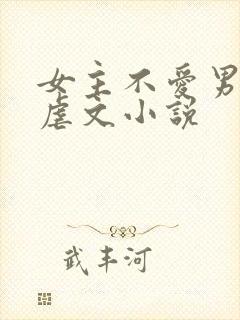 女主不爱男主的虐文小说