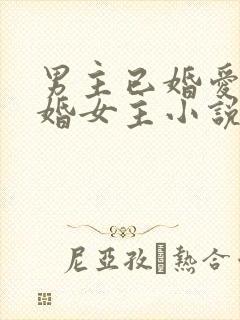 男主已婚爱上未婚女主小说