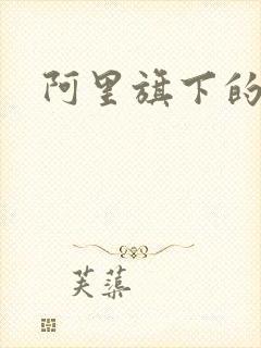 阿里旗下的网盘