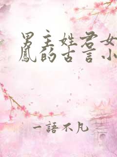 男主姓君女主姓凤的古言小说