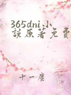 365dni小说原著免费阅读