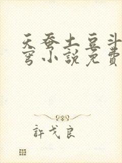 天蚕土豆斗破苍穹小说免费阅读