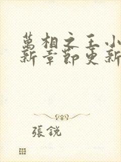 万相之王小说最新章节更新时间