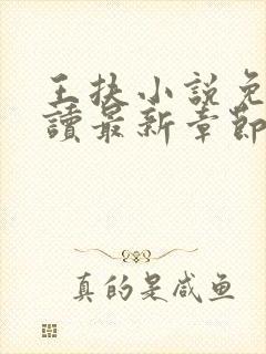 王扶小说免费阅读最新章节无弹窗