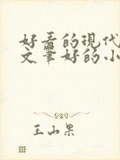 好看的现代言情文笔好的小说