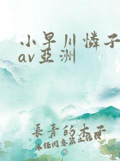 小早川怜子在线av亚洲