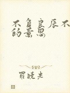 不负良辰不负卿的意思