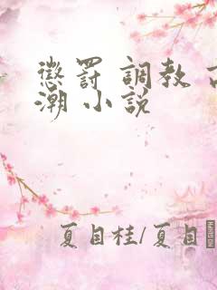 惩罚 调教 高潮 小说