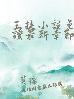 王扶小说免费阅读最新章节无弹窗