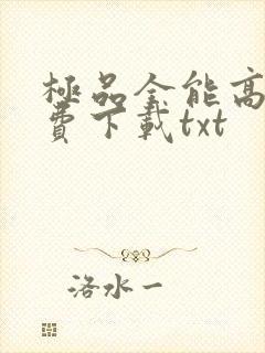 极品全能高手免费下载txt