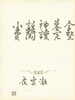 小说神墓全文免费阅读完整版辰东