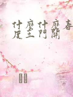 什么什么春风不度玉门关