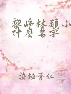 黎峥林愿小说叫什么名字