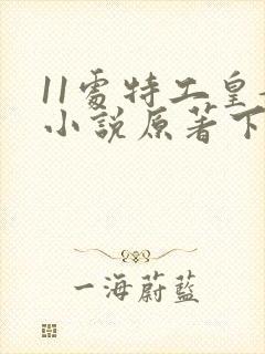 11处特工皇妃小说原著下载