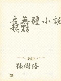 夜无疆小说辰东起点