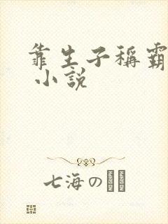 靠生子称霸后宫 小说