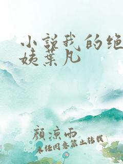 小说我的绝色小姨叶凡