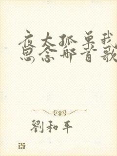 夜太孤单我太过思念哪首歌的歌词