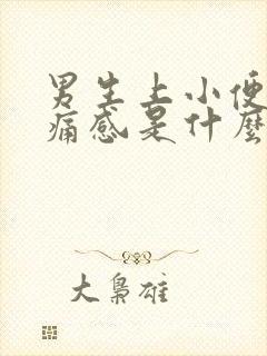 男生上小便有刺痛感是什么原因