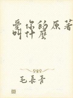 爱你的原著小说叫什么