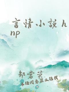 言情小说 h np