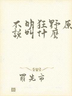 不明狂野原著小说叫什么