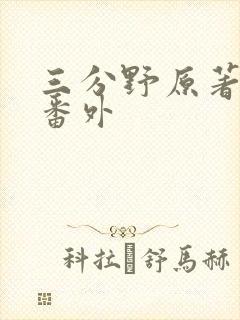 三分野原著小说番外