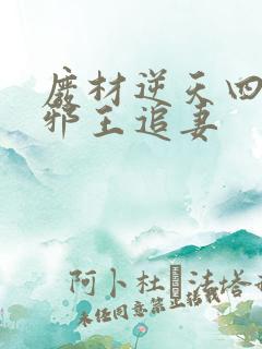 废材逆天四小姐邪王追妻