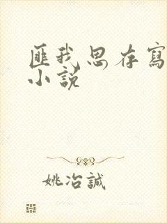 匪我思存写过的小说