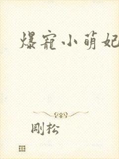 爆宠小萌妃免费