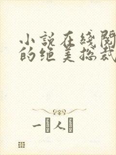 小说在线阅读我的绝美总裁老婆