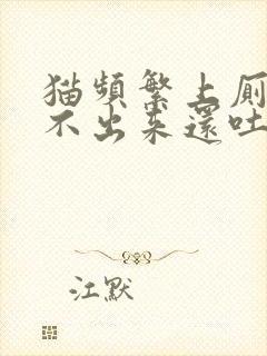 猫频繁上厕所尿不出来还吐