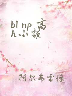 bl np 高h小说