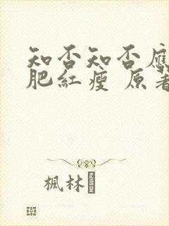 知否知否应是绿肥红瘦 原著