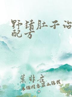 野猪肚子治胃病配方