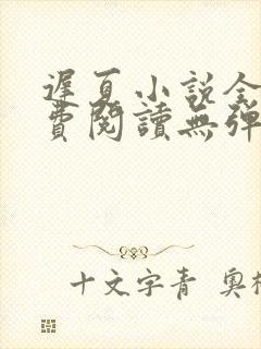 迟夏小说全文免费阅读无弹窗