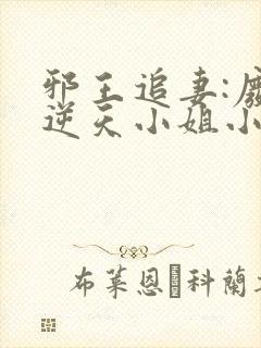 邪王追妻:废材逆天小姐小说